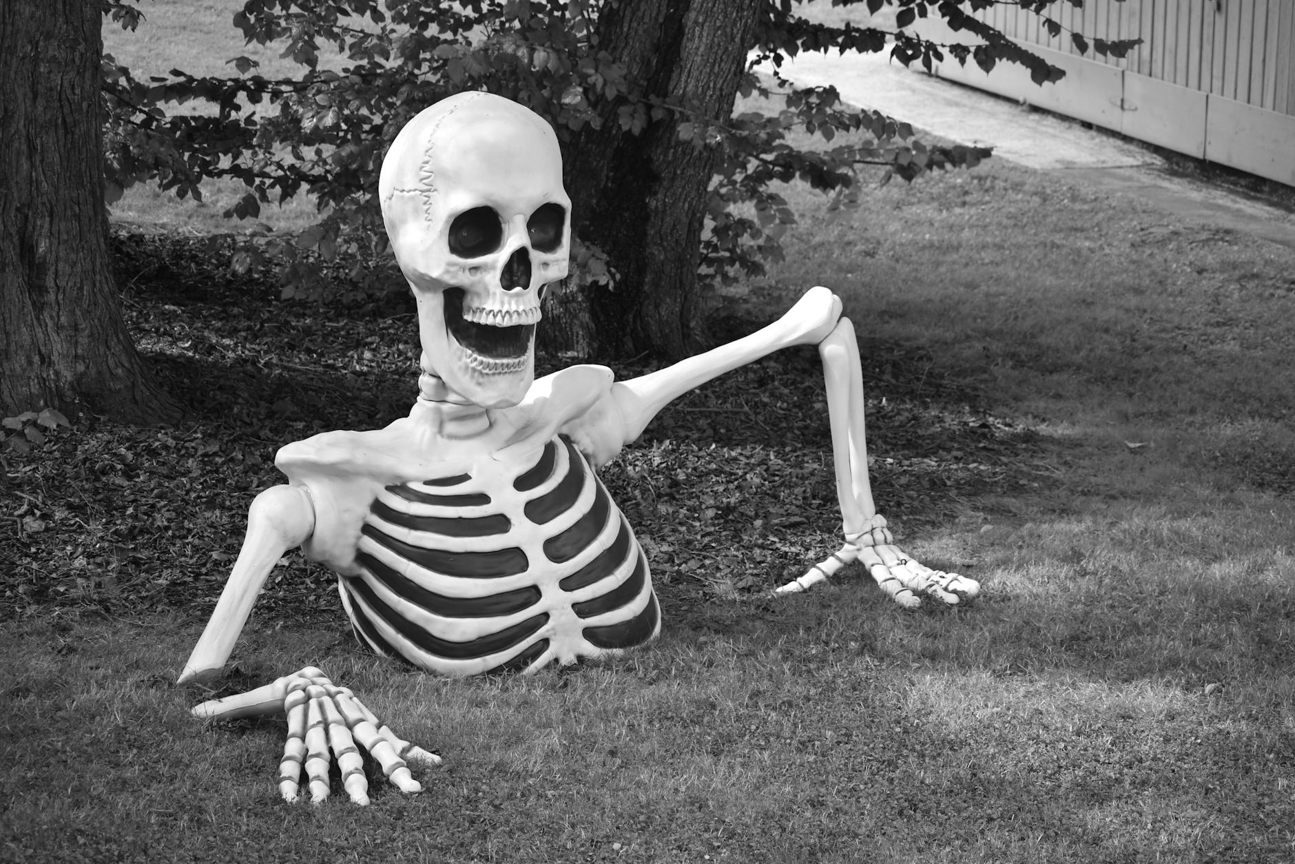 Black and white image of a decorative skeleton emerging from the ground.