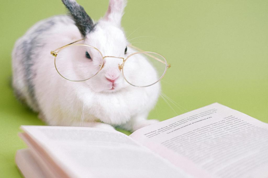 Image of a rabbit with crooked glasses sitting in front of an open book.